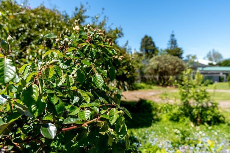 Photo of property in 15a Kent Street, Carterton, 5713