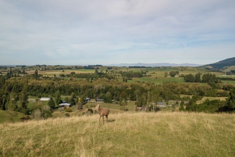 Photo of property in 548 Pleasant Valley Road, Geraldine Downs, Geraldine, 7991