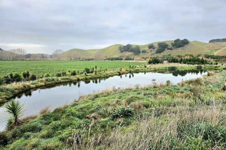Photo of property in 336 Makomako Road, Pahiatua, 4983