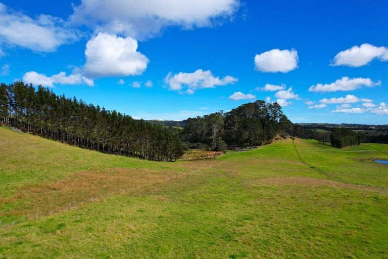 Photo of property in 1325 Te Maire Road, Te Kopuru, 0391