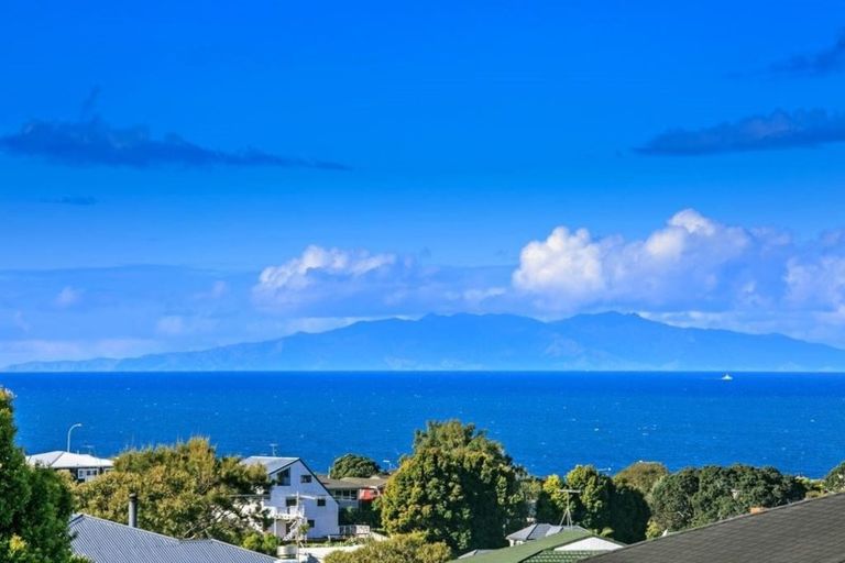 Photo of property in 421 East Coast Road, Mairangi Bay, Auckland, 0630