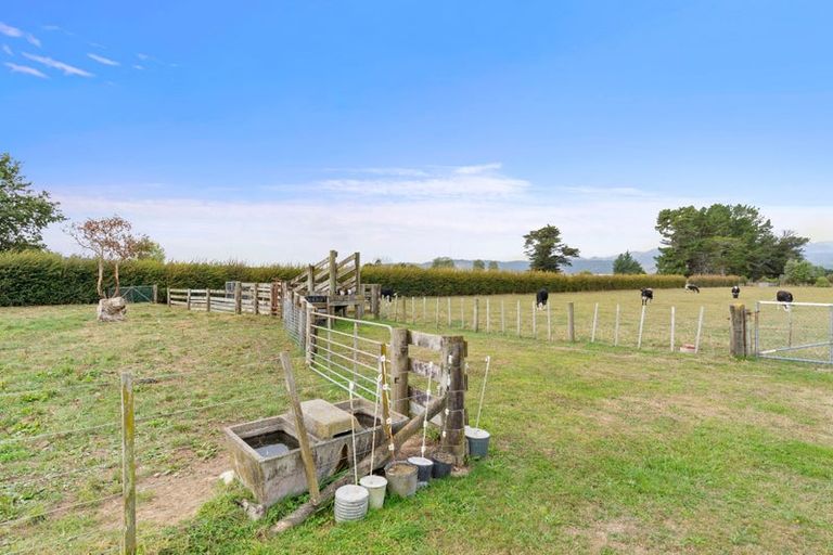 Photo of property in 77 Bruce Road, Levin, 5510