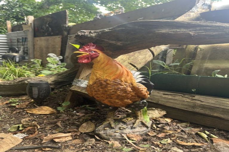 Photo of property in 52 Te Kumi Road, Te Kuiti, 3910