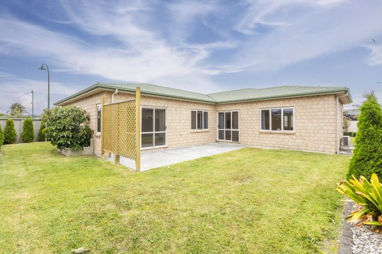 Photo of property in 117 Hunter Drive, Awatoto, Napier, 4110