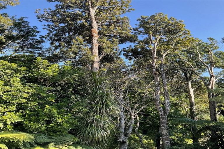 Photo of property in 14 Kereru Place, Upper Vogeltown, New Plymouth, 4310