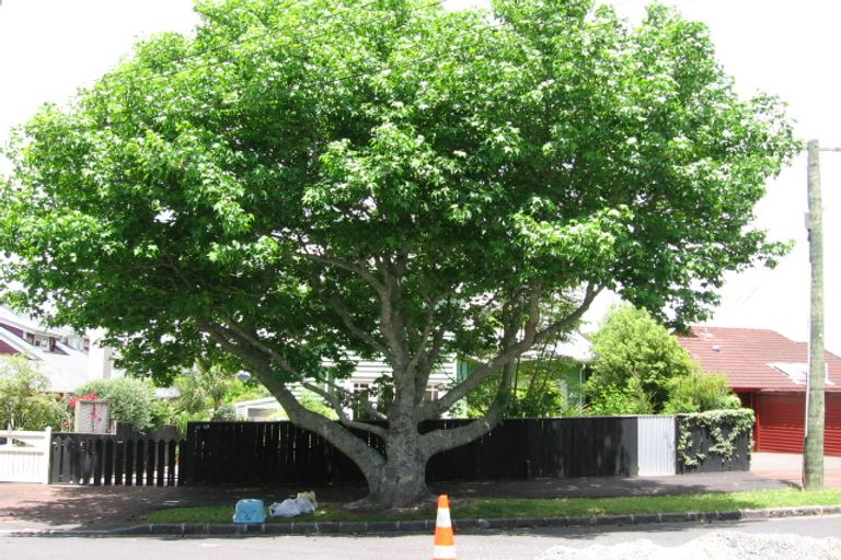 Photo of property in 89 Dignan Street, Point Chevalier, Auckland, 1022