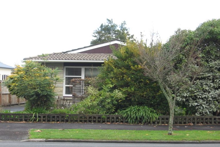 Photo of property in 189 Peachgrove Road, Claudelands, Hamilton, 3214