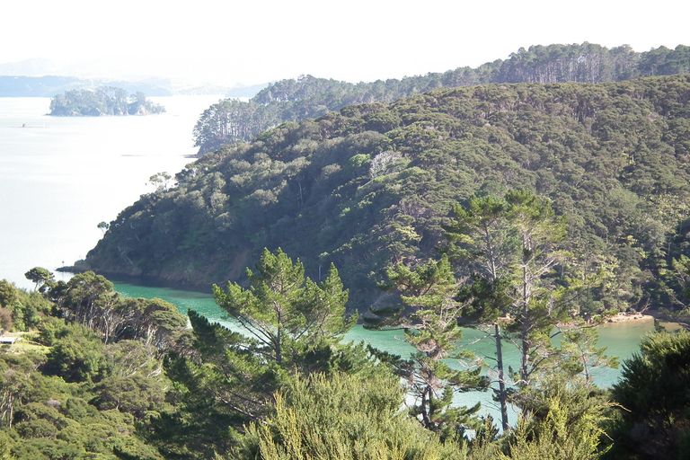 Photo of property in 31 Woods Ridge Road, Kawau Island, 0920