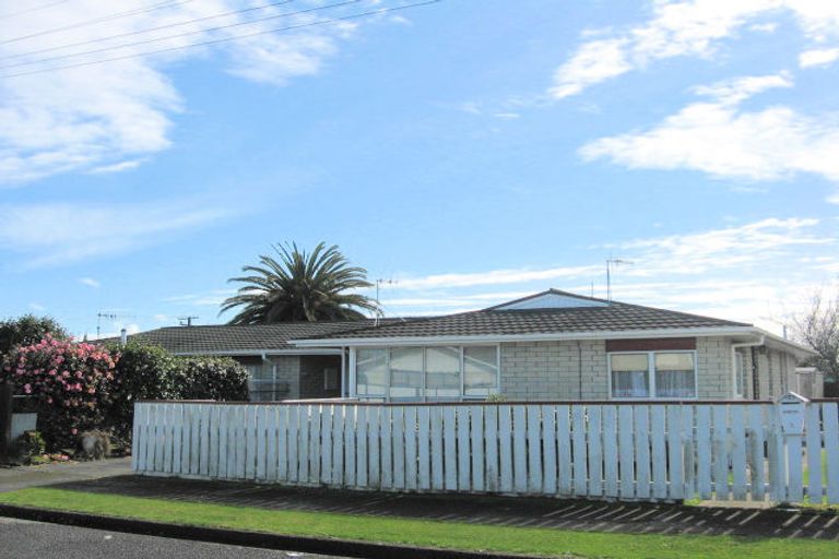 Photo of property in 3 Cornwall Street, Levin, 5510