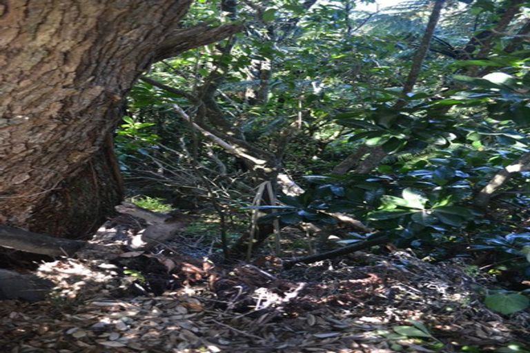 Photo of property in 31 Lawry Street, Blagdon, New Plymouth, 4310