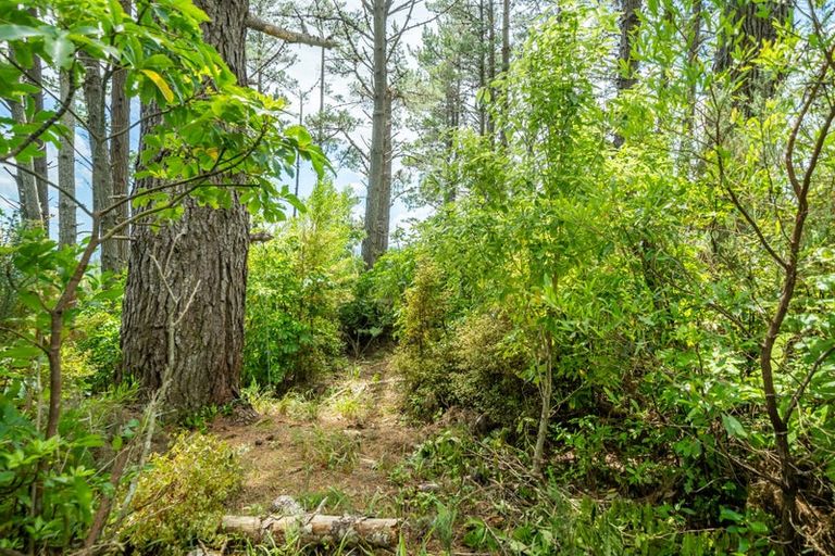 Photo of property in 220 Blue Mountains Road, Blue Mountains, Upper Hutt, 5371