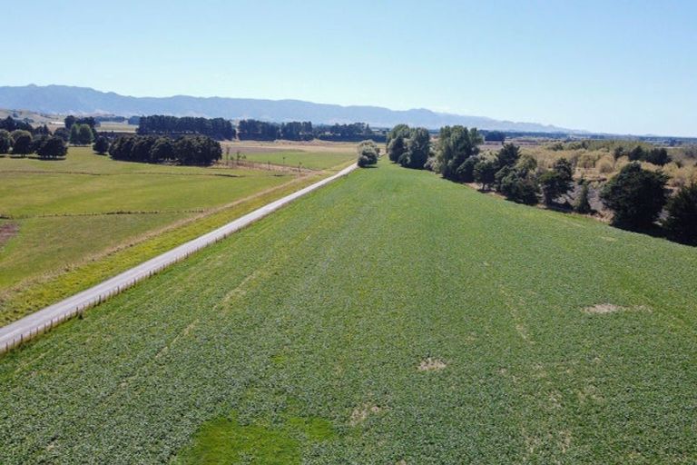 Photo of property in 423 Oringi Road, Dannevirke, 4972