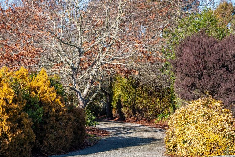 Photo of property in 108 Spur Road, Hadlow, Timaru, 7975