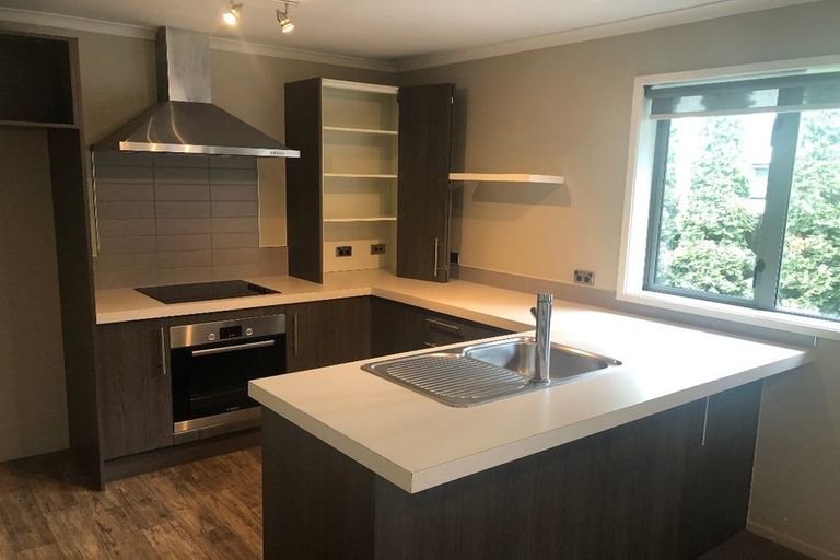 Photo of property in 16 Stadium Lane, Whitiora, Hamilton, 3200