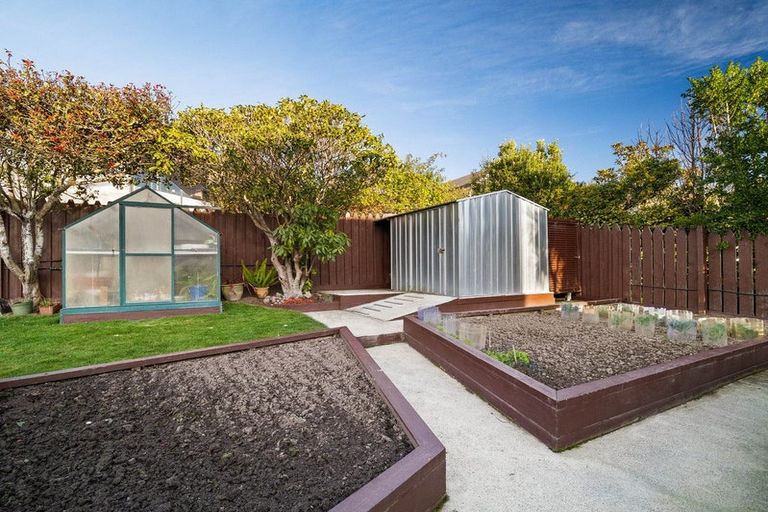 Photo of property in 8 Connell Street, Waverley, Dunedin, 9013