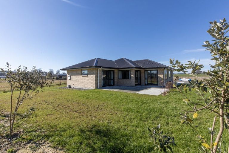 Photo of property in 63 Farm Road, Waipukurau, 4284