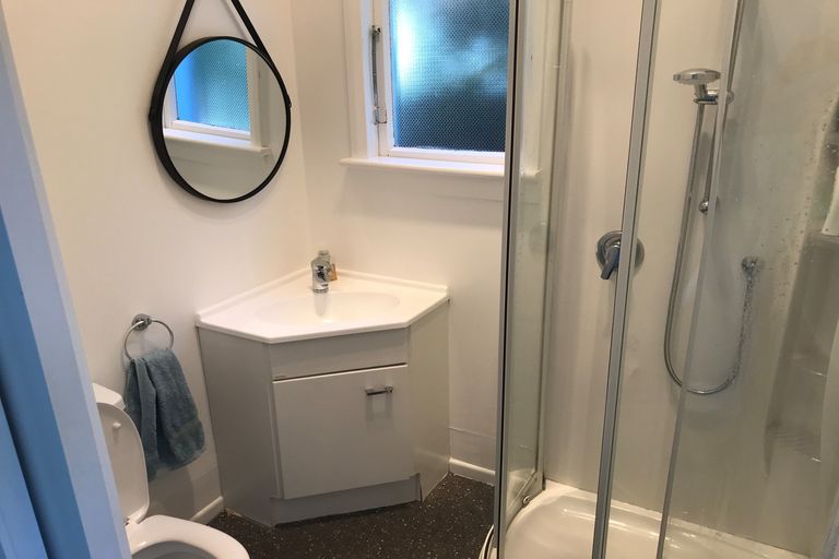 Photo of property in 41 Albert Street, Saint Clair, Dunedin, 9012