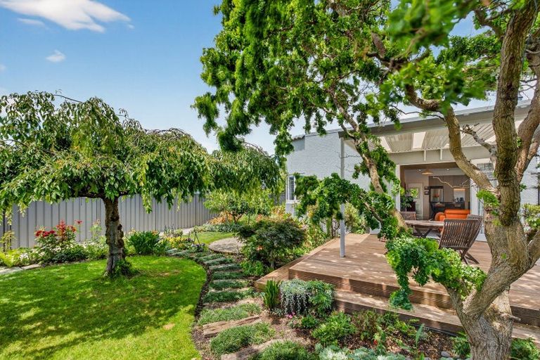 Photo of property in 419 Brunswick Street, Saint Leonards, Hastings, 4120