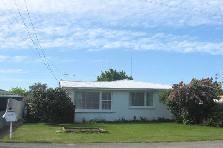 Photo of property in 20a Dillon Street, Blenheim, 7201