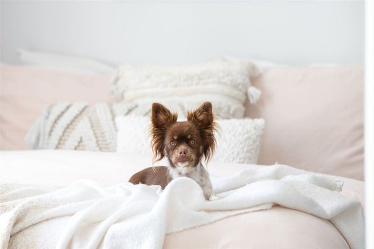 Photo of property in 165 Harewood Road, Papanui, Christchurch, 8053