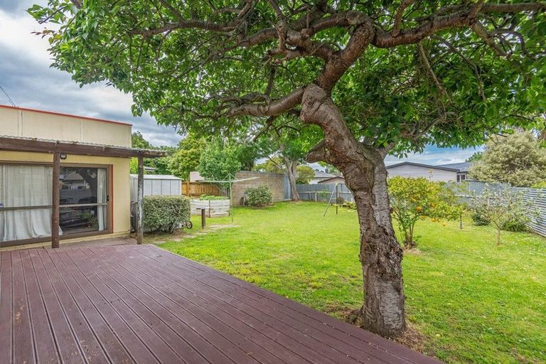 Photo of property in 24 Snowdon Avenue, Terrace End, Palmerston North, 4410