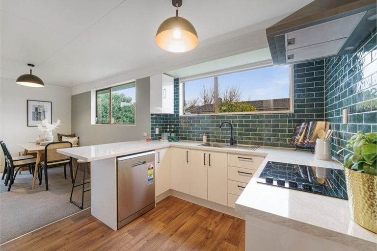 Photo of property in 3 Matipo Street, Levin, 5510