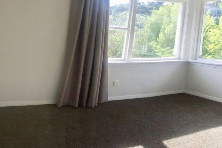 Photo of property in 17 Tower Avenue, Waverley, Dunedin, 9013