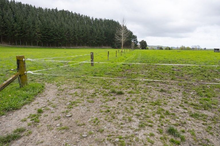 Photo of property in 354 Kumuiti Road, Fordell, Whanganui, 4577