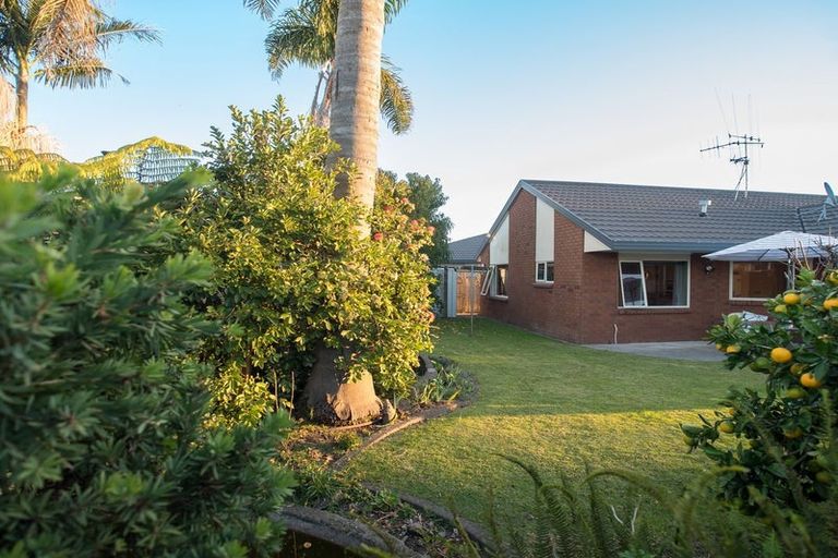 Photo of property in 37 Luculia Drive, Mount Maunganui, 3116