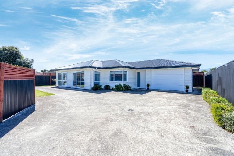 Photo of property in 12 Sussex Street, Levin, 5510