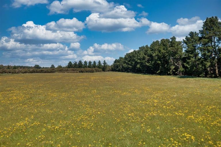 Photo of property in 251 Worlingham Road, Eyrewell, West Eyreton, 7476