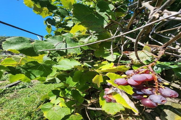 Photo of property in 36 Jans Terrace, Oakura, 4314