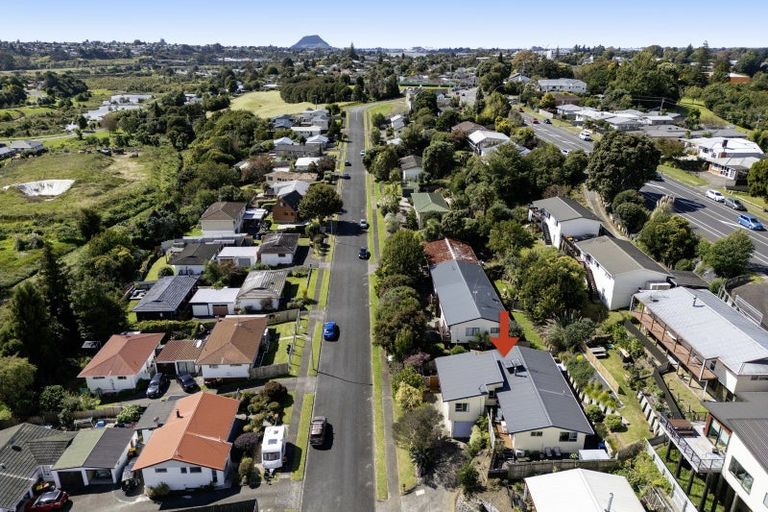 Photo of property in 21 Burns Street, Gate Pa, Tauranga, 3112