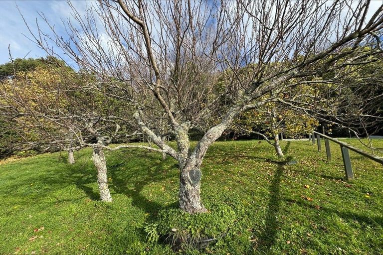 Photo of property in 87 Main Rd Havelock, Havelock, 7100