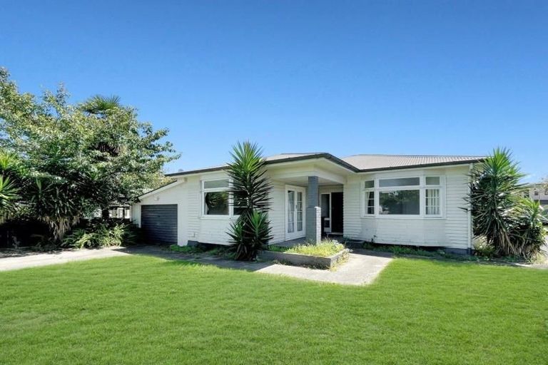 Photo of property in 111 Albert Street, Hamilton East, Hamilton, 3216