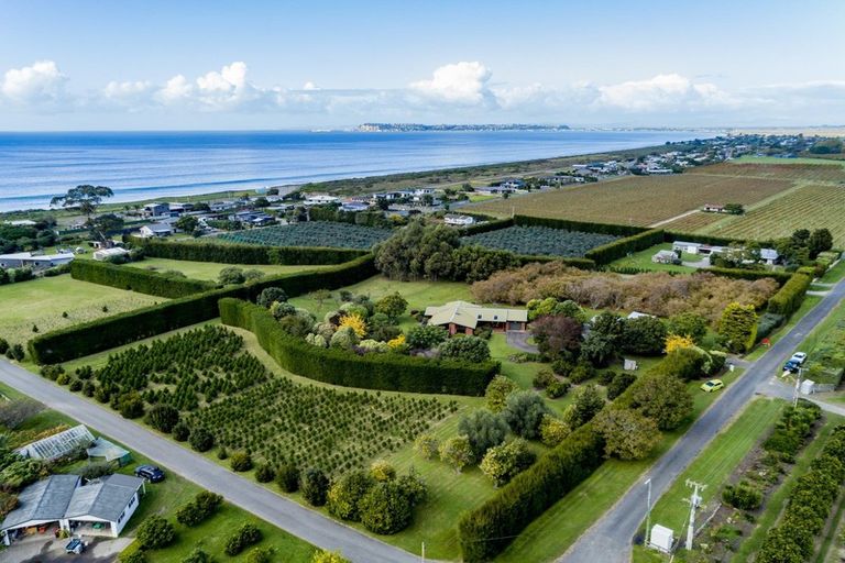 Photo of property in Li199b, 14 Scarrott Road, Bay View, Napier, 4104