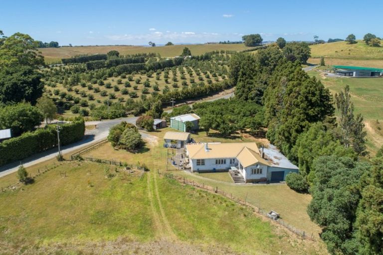 Photo of property in 195 Stewart Road, Whakamarama, Katikati, 3181