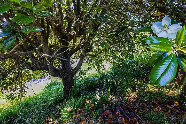 Photo of property in 31 Clearmont Crescent, Blagdon, New Plymouth, 4310