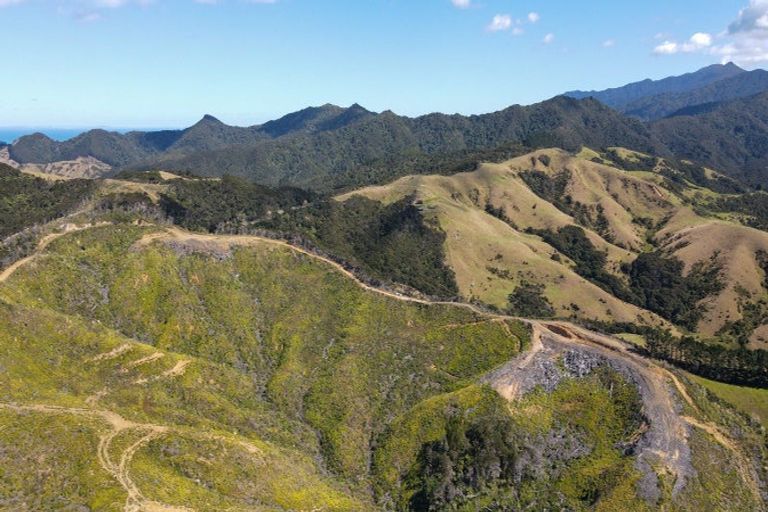 Photo of property in 478 Port Charles Road, Waikawau, Coromandel, 3584