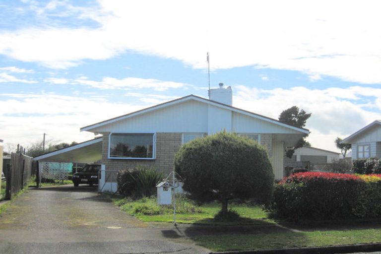 Photo of property in 17 Cornwall Street, Levin, 5510