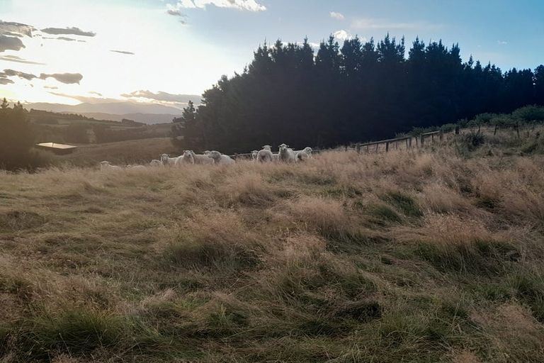 Photo of property in 338a Catherwoods Road, Cust, 7471