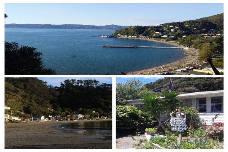 Photo of property in 619 Marine Drive, Days Bay, Lower Hutt, 5013