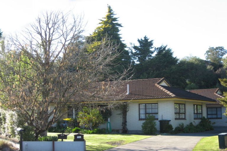 Photo of property in 13b Shortland Place, Havelock North, 4130