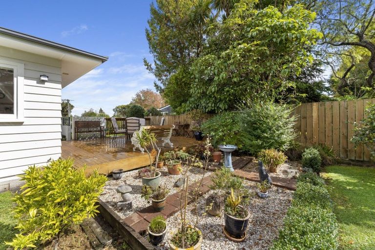 Photo of property in 25 Macarthur Street, Levin, 5510