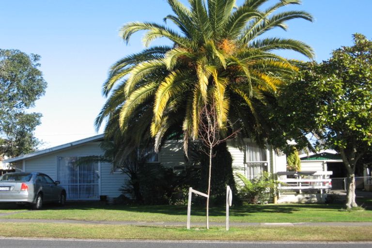 Photo of property in 113 Fairview Street, Chartwell, Hamilton, 3210