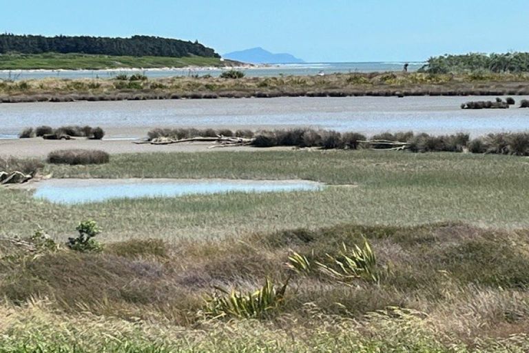 Photo of property in 7 Carter Crescent, Foxton Beach, Foxton, 4815