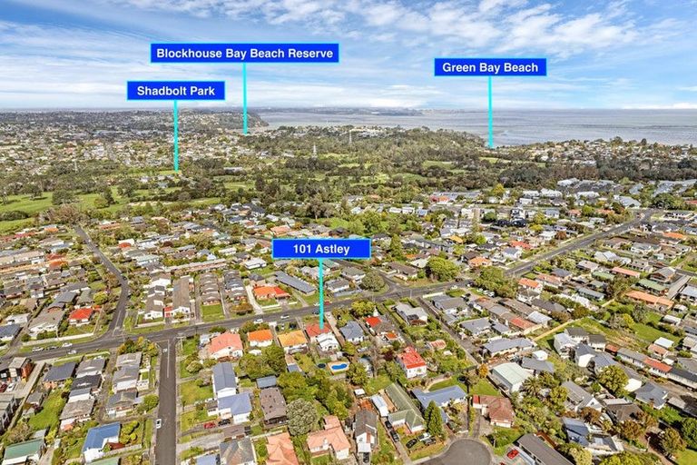 Photo of property in 101 Astley Avenue, New Lynn, Auckland, 0600