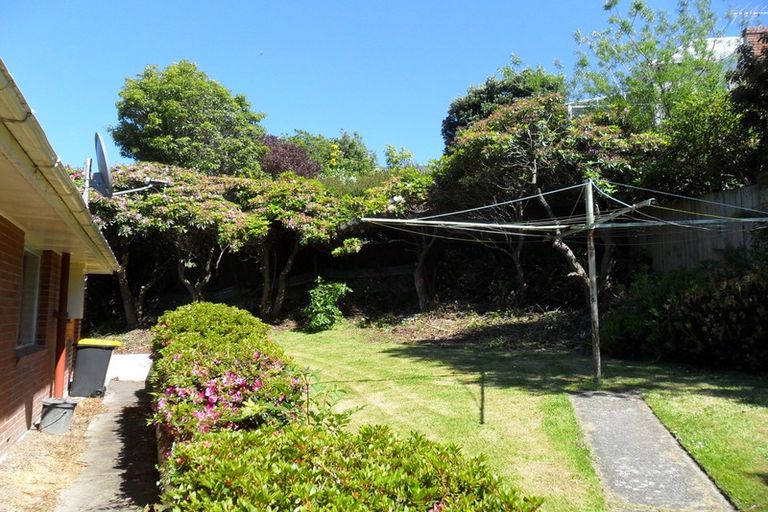 Photo of property in 5 Maori Road, Dunedin Central, Dunedin, 9016