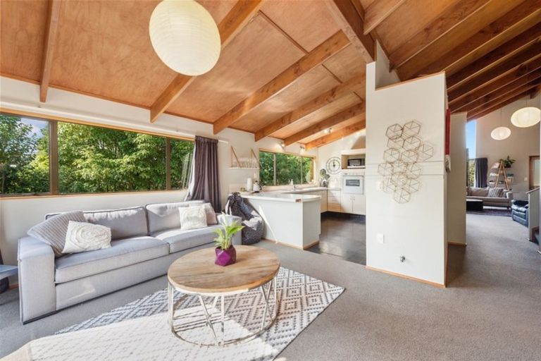 Photo of property in 14 Melva Street, Dinsdale, Hamilton, 3204