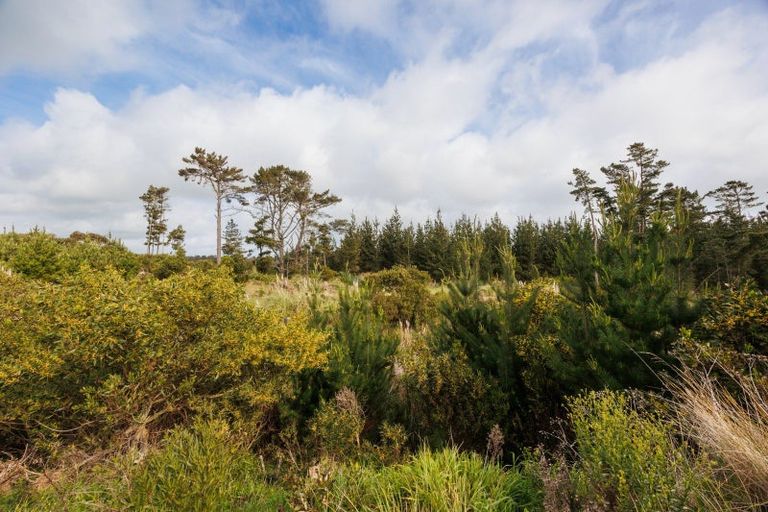 Photo of property in 545 Himatangi Beach Road, Himatangi Beach, Foxton, 4891